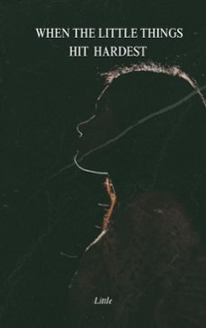 when the little things hit hardest (ebook)-9798231269679