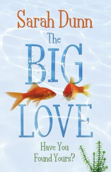 the big love (ebook)-sarah dunn-9781405918589
