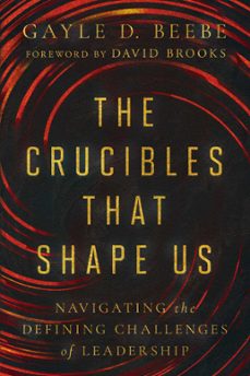 the crucibles that shape us (ebook)-gayle d. beebe-9781514008089