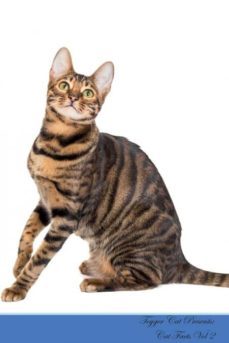 toyger cat presents-9781526964489