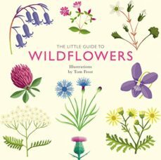 the little guide to wildflowers-9781787139589