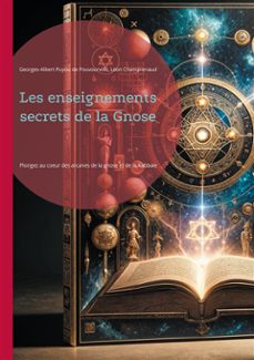 les enseignements secrets de la gnose (ebook)-9782322494989
