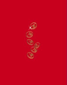 pearl river delta-9783822860489