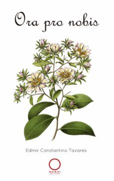 ora pro nobis (ebook)-edmir constantino tavares-9786586334289