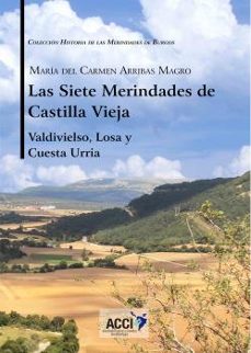 las siete merindades de castilla vieja. tomo ii-mª carmen arribas magro-9788417267889