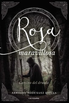 (i.b.d.) rosa maravillosa: camino del druida-armando rodriguez ortega-9788417856489