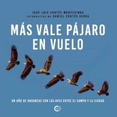 mas vale pajaro en vuelo-jose luis cortes montesinos-9788419009289