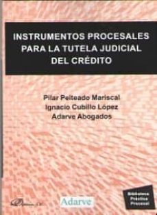 instrumentos procesales para la tutela judicial de credito-9788491485889