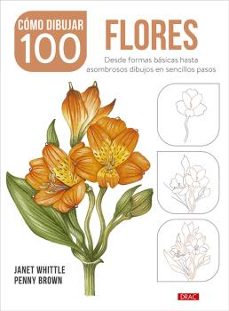 cómo dibujar 100 flores-janet whittle-9788498747089