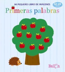 primeras palabras (mi pequeño libro de imagenes)-9789463074889