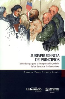 jurisprudencia de principios-abraham zamir bechara llanos-9789587891089