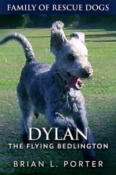 dylan (ebook)-9791221322989