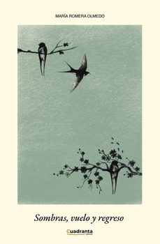 sombras, vuelo y regreso-maria romera olmedo-9791387773489