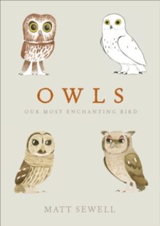 owls-matt sewell-9780091959999