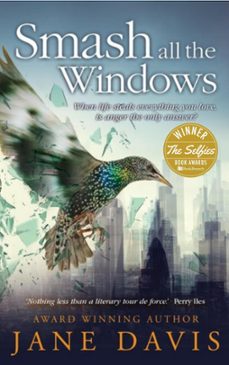 smash all the windows (ebook)-jane davis-9781386530299