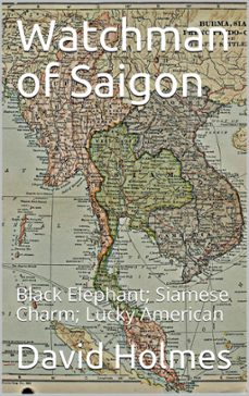 watchman of saigon (ebook)-david holmes-9781393109099