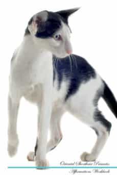 oriental shorthair affirmations workbook oriental shorthair presents-9781526972699
