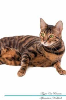 toyger cat affirmations workbook toyger cat presents-9781526977199