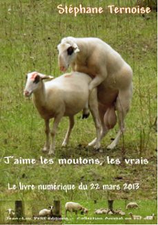 -stéphane ternoise-9782365413299