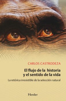 el flujo de la historia y el sentido de la vida (ebook)-carlos castrodeza-9788425431999