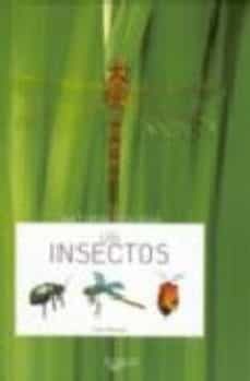los insectos-yves masiac-9788431534899