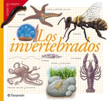 los invertebrados-9788434240599