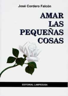 amar las pequeñas cosas-jose cordero falcon-9788461538799
