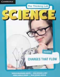 charges that flow poster-9788483238899