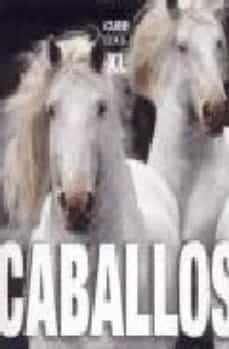 caballos-9788496865099