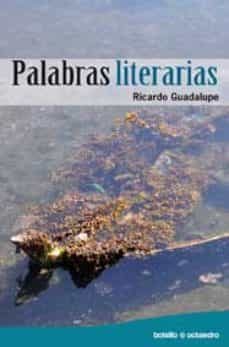 palabras literarias-ricardo guadalupe-9788499211299