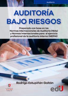 auditoria bajo riesgos (ebook)-rodrigo estupiñan-9789587924299
