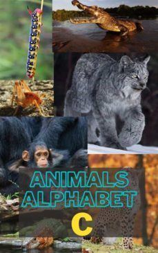 animals alphabet c (ebook)-9791222025599