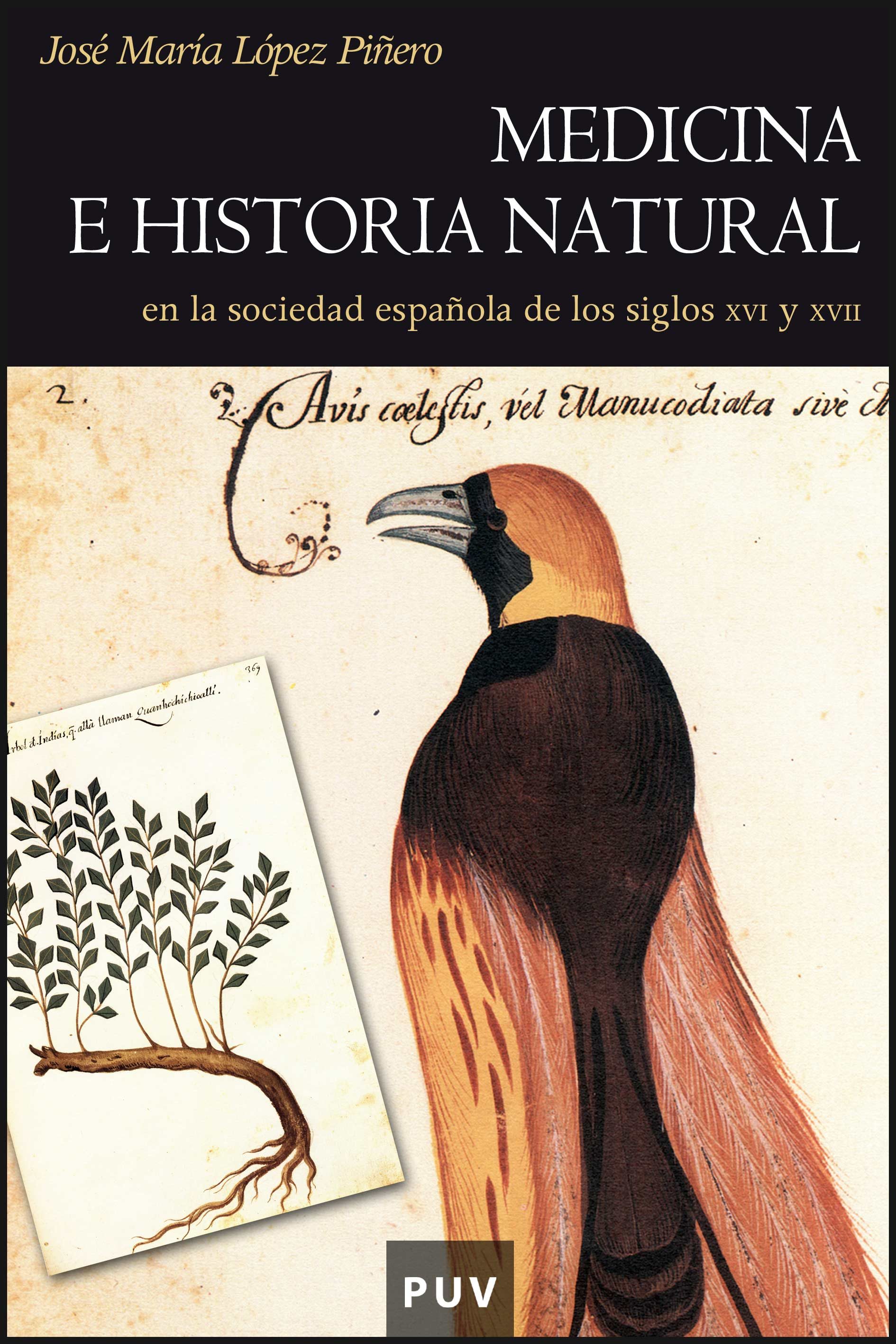 Medicina E Historia Natural En Sociedad Española Siglo Xvi-xvii por Jose Maria Lopez Piñero