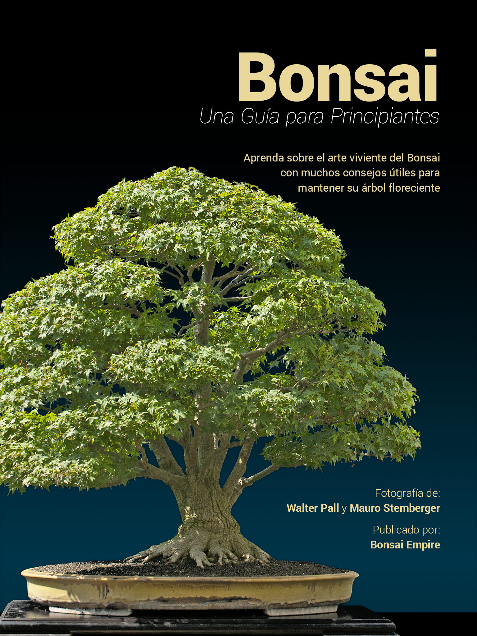 tecnicas del bonsai ii pdf