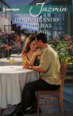 derrumbando barreras (ebook)-trish wylie-9788468796819 derrumbando barreras (ebook)-trish wylie-9788468796819