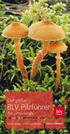 der grosse blv pilzführer für unterwegs (ebook)-ewald gerhardt-9783835461529 der grosse blv pilzführer für unterwegs (ebook)-ewald gerhardt-9783835461529