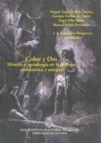 cobre y oro. mineria y metalurgia en la asturias prehistorica y a ntigua-juan manuel abascal-9788487212949 cobre y oro. mineria y metalurgia en la asturias prehistorica y a ntigua-juan manuel abascal-9788487212949