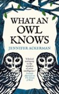 WHAT AN OWL KNOWS-16648594-otro-formato