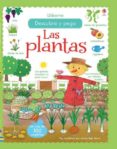 las plantas descubro y pego-felicity brooks-9781474908009 las plantas descubro y pego-felicity brooks-9781474908009