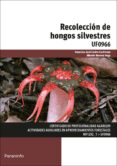 uf0966 - recoleccion de hongos silvestres-alberto moreno vega-francisco jose castro cachinero-9788428398909 uf0966 - recoleccion de hongos silvestres-alberto moreno vega-francisco jose castro cachinero-9788428398909
