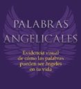 palabras angelicales-d. virtue-9782813203519 palabras angelicales-d. virtue-9782813203519