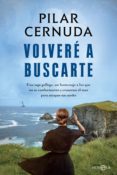 volveré a buscarte (ebook)-pilar cernuda-9788491642619 volveré a buscarte (ebook)-pilar cernuda-9788491642619