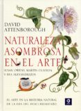 naturaleza asombrosa en el arte-david attenborough-9788497943819 naturaleza asombrosa en el arte-david attenborough-9788497943819