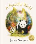A BEAUTIFUL WORLD-17514751-otro-formato