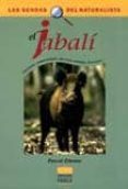 el jabali-pascal etienne-9788428213929 el jabali-pascal etienne-9788428213929