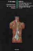 sistema musculosqueletico. transtornos del desarrollo, tumores, e nfermedades reumaticas y remplazamiento articular (t.8) (parte 2)-frank h. netter-9788445802229 sistema musculosqueletico. transtornos del desarrollo, tumores, e nfermedades reumaticas y remplazamiento articular (t.8) (parte 2)-frank h. netter-9788445802229