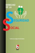 Descarga de libros epub DERECHO DE LA SEGURIDAD SOCIAL 9789597261629