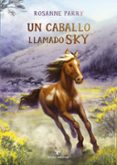 Un caballo llamado Sky-18287596-otro-formato