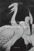 Ocells errants-13310585-otro-formato