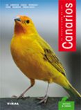 canarios-matthew vriends-9788430582839 canarios-matthew vriends-9788430582839